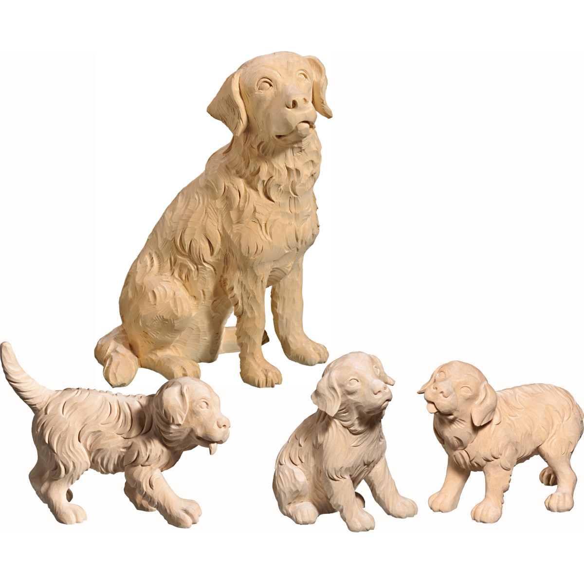 Golden Retriever with puppies | Bergland