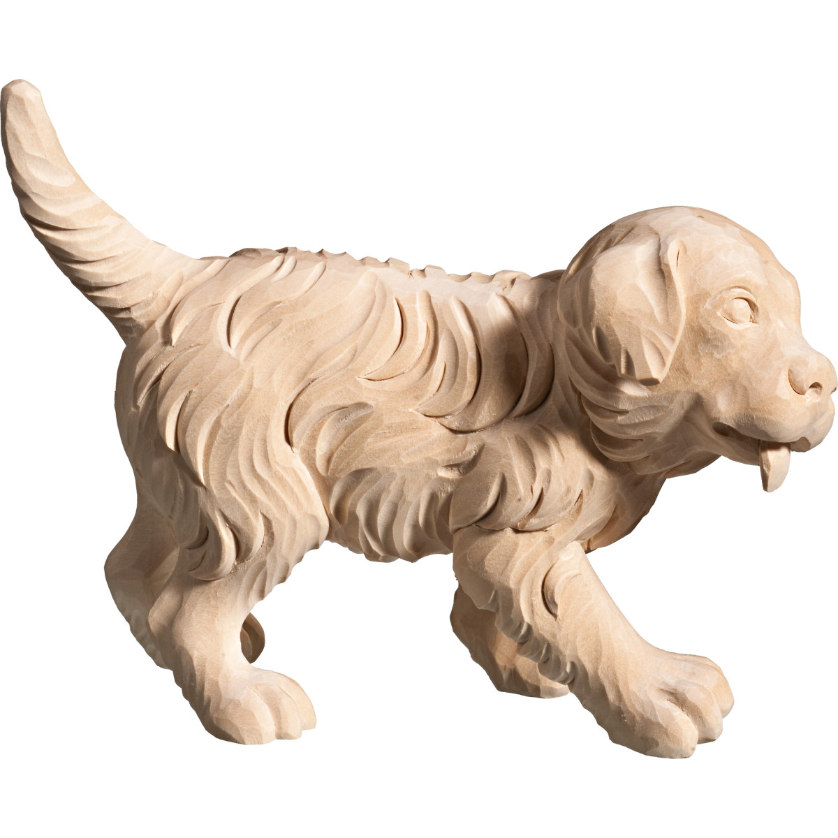 Cachorro de Cão Bernês | Bergland