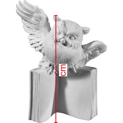 Gufo che vola su libro in legno | Bergland