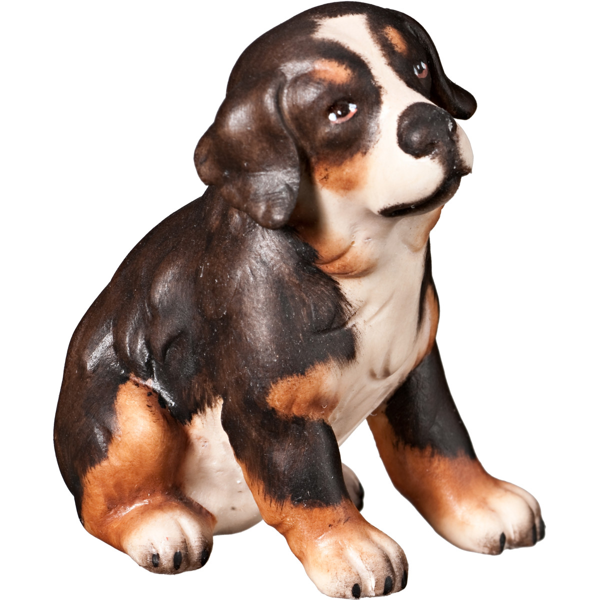 Cucciolo di Cane Bernese | Bergland