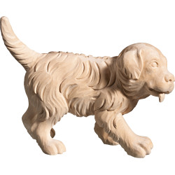 Cachorro de São Bernardo | Bergland