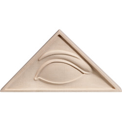 God's eye