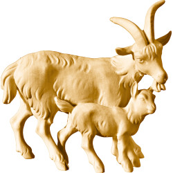 Goat group