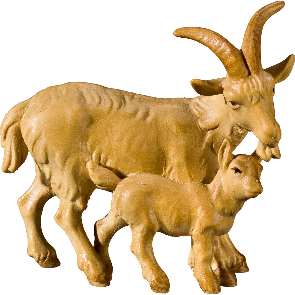 Gruppo capre