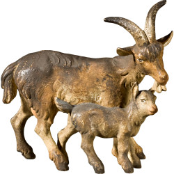 Grupo cabras