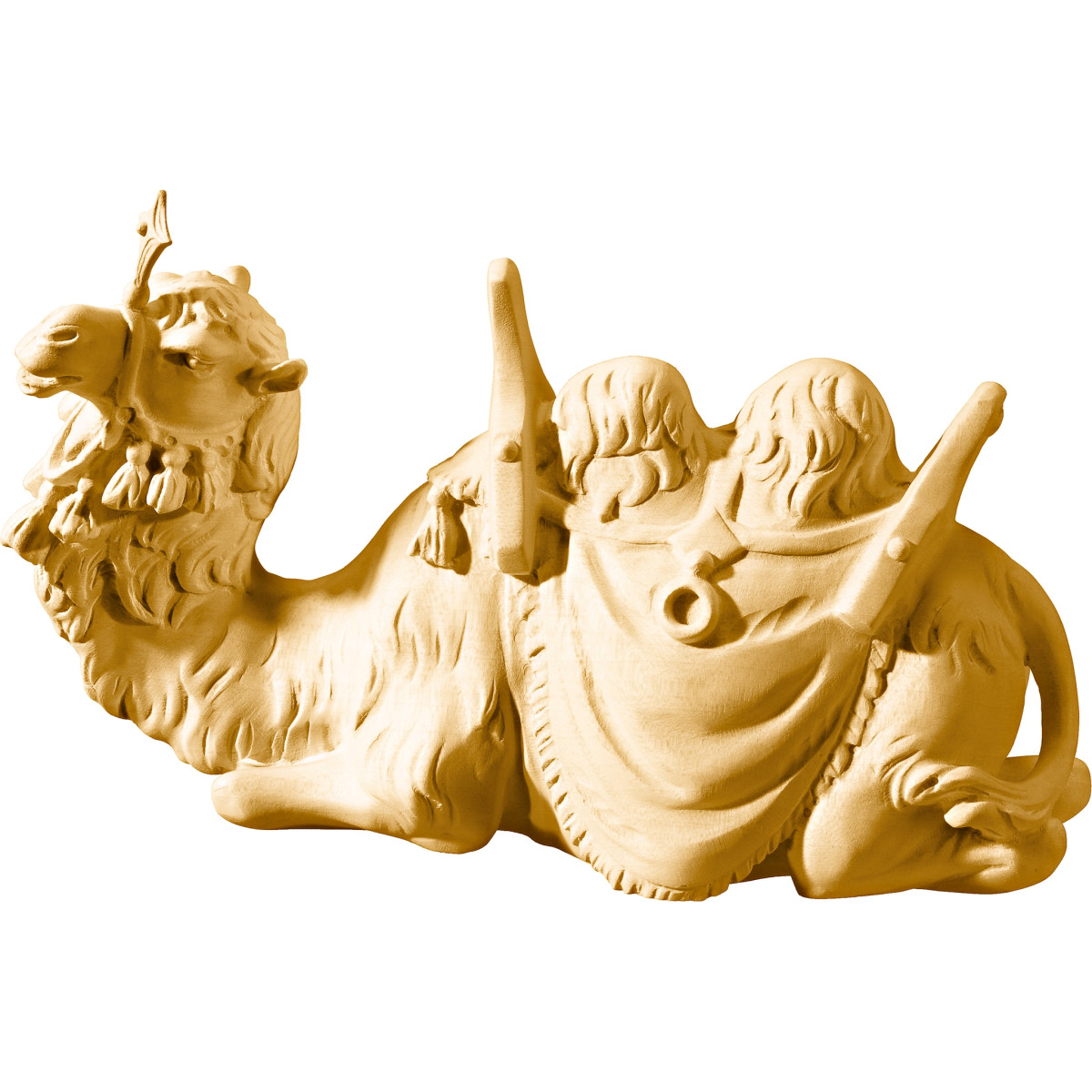 Camel lying