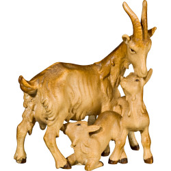 Gruppo tre capre