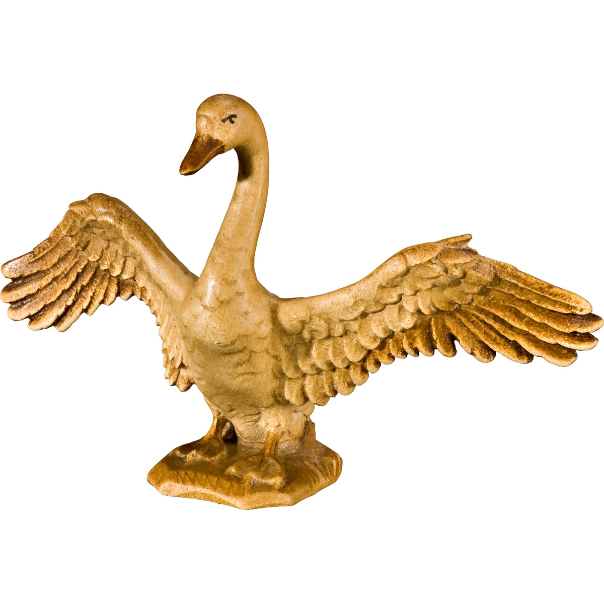 Schwan offene Flügel