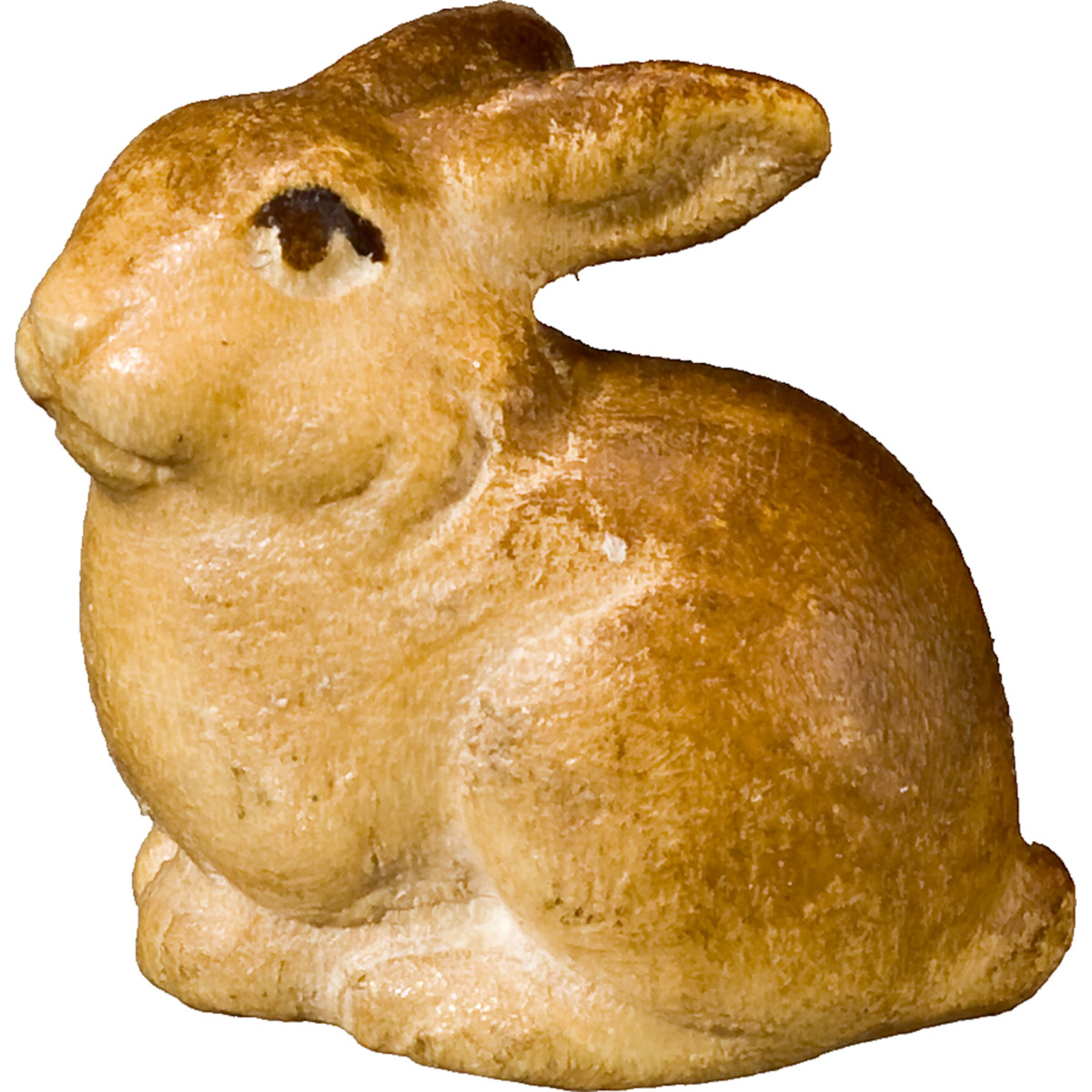 Pequeño Conejo sentado
