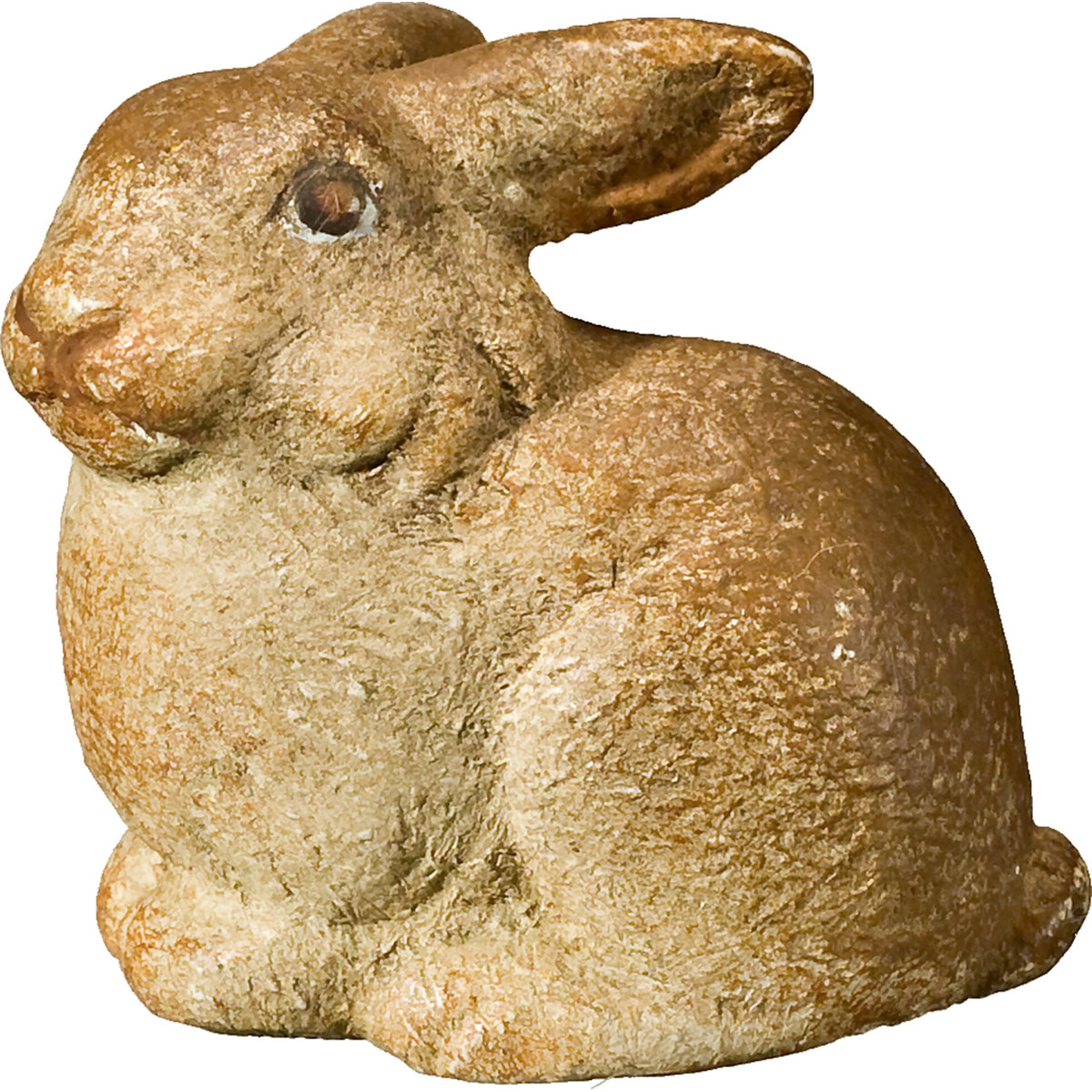 Rabbit little lying