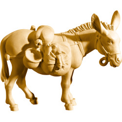 Burro com cela
