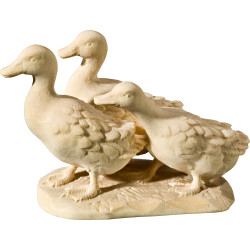 Duck group