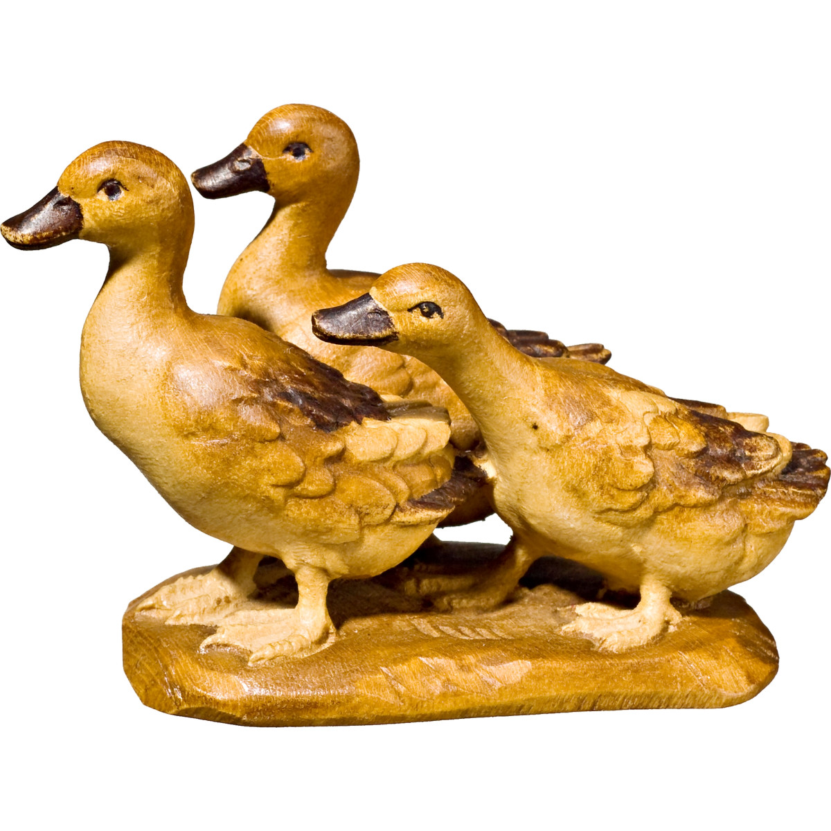 Duck group
