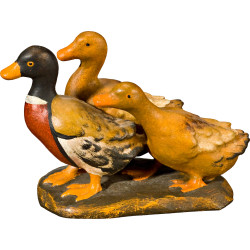 Grupo de patos
