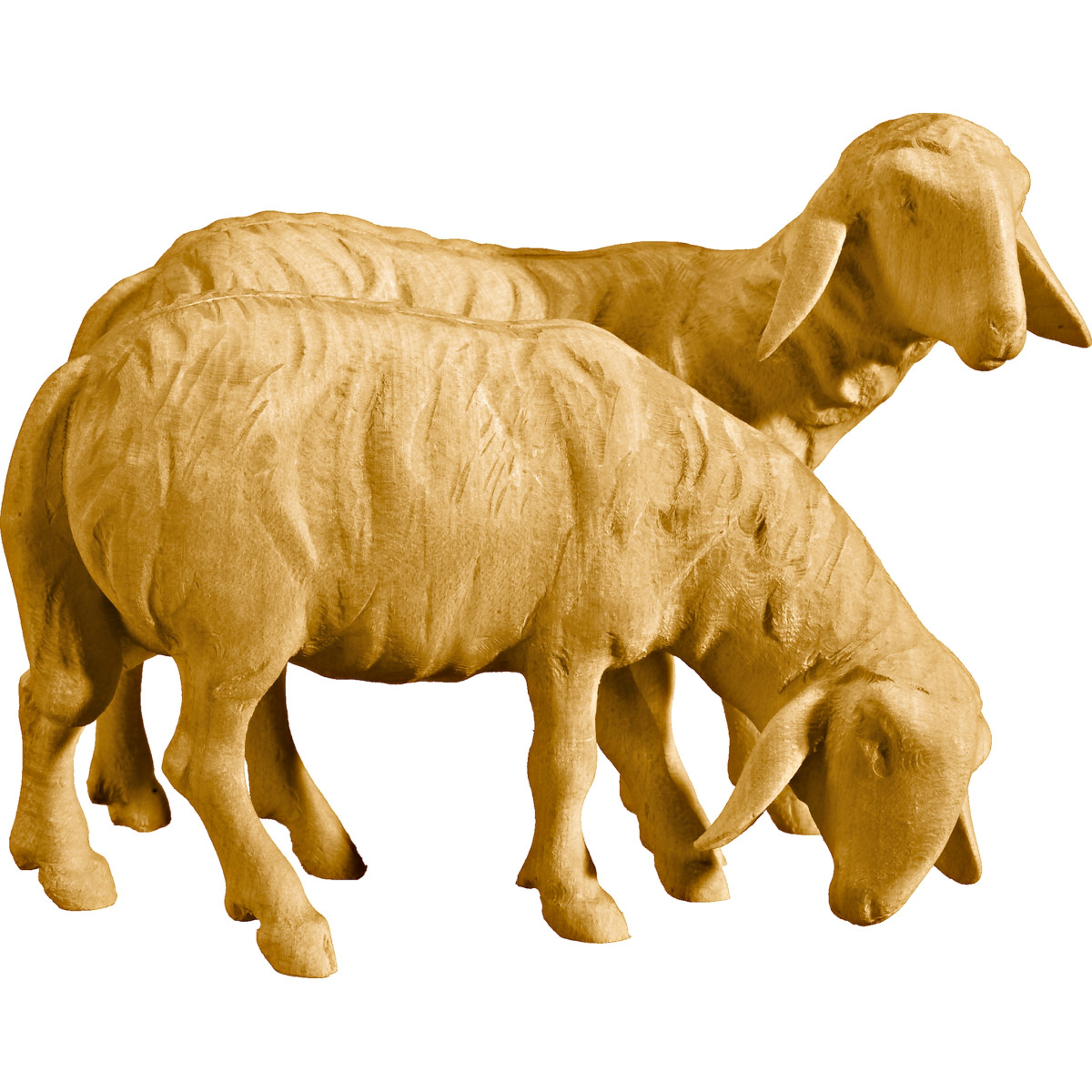 Double sheep
