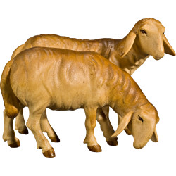 Double sheep