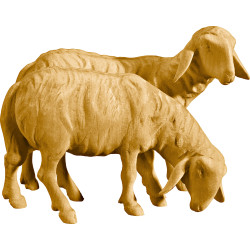 Doppelschaf
