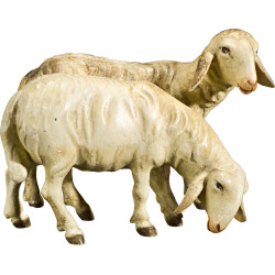 Doppelschaf