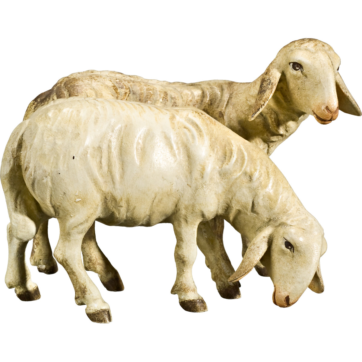 Pecore doppie