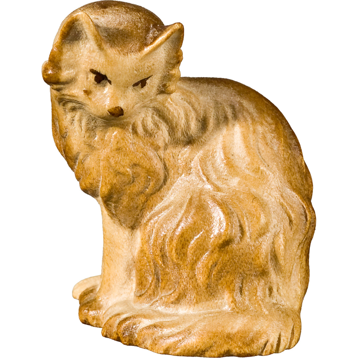 Katze sitzend