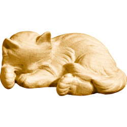 Gatinho deitado