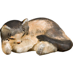 Gatinho deitado