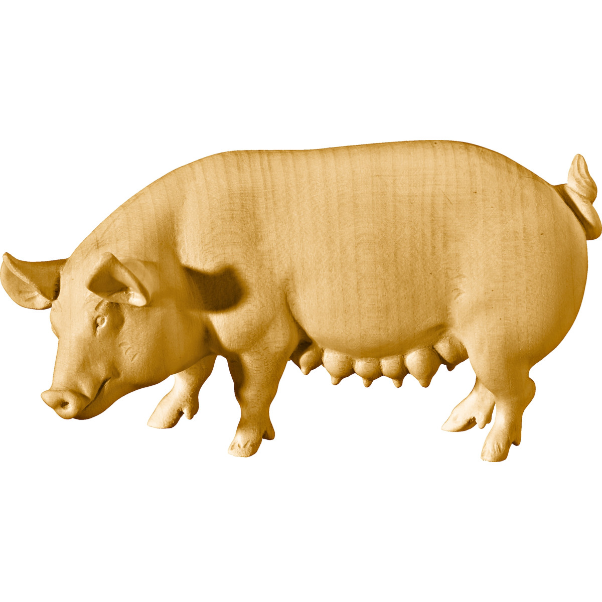 Sow
