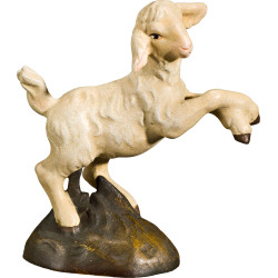 Lamb jumping