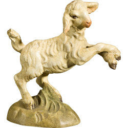 Lamb jumping