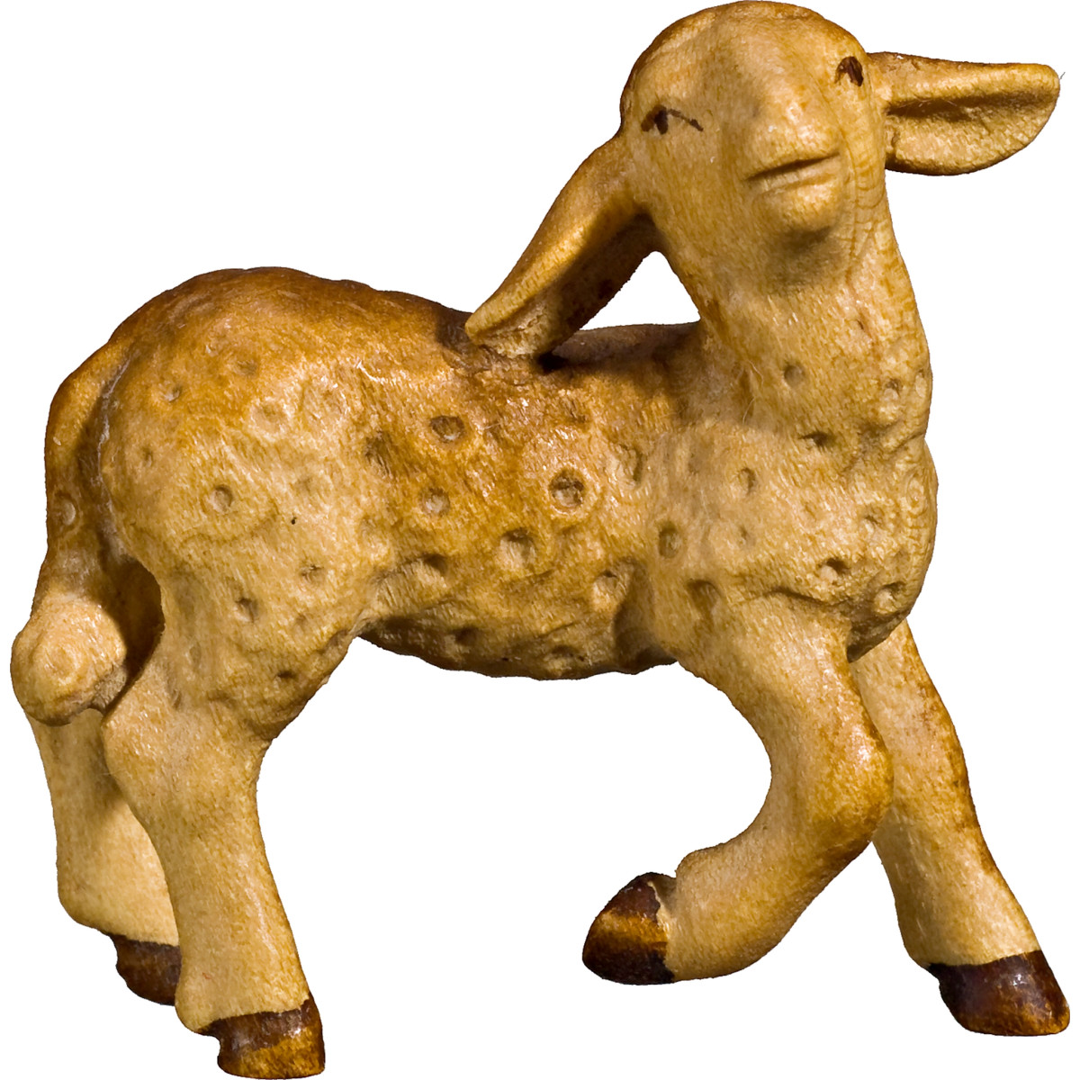 Agnello testa in alto