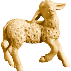 Agnello testa in alto