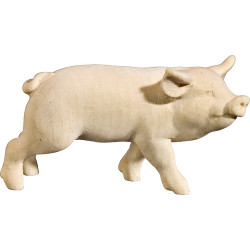 Maialino