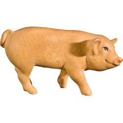 Maialino