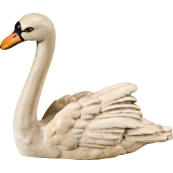 Cisne mirando hacia delante