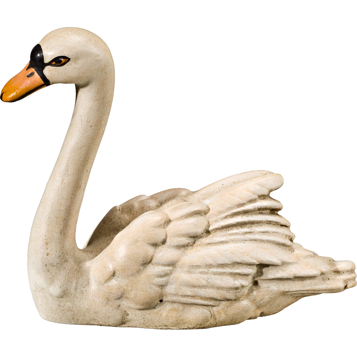 Cisne mirando hacia delante