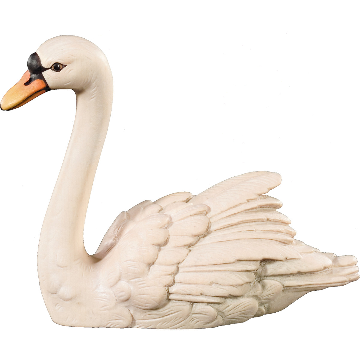 Swan looking forward