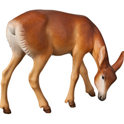 Veado fêmea