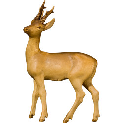 Capriolo