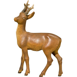 Roebuck