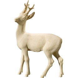 Capriolo