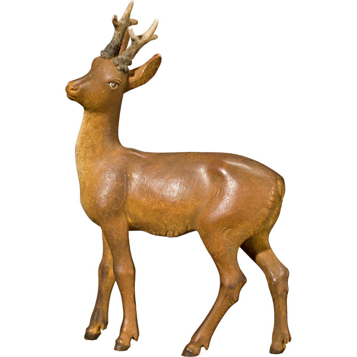 Capriolo