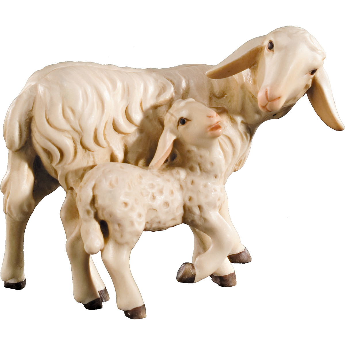Sheep with lamb