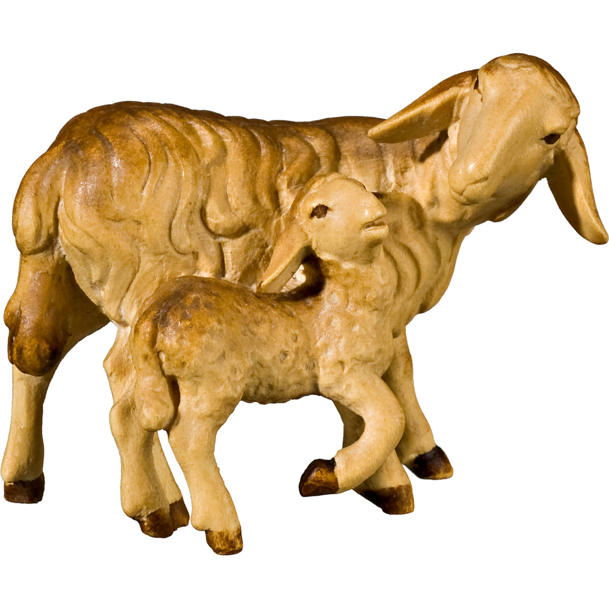 Pecora con agnello