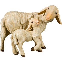 Sheep with lamb