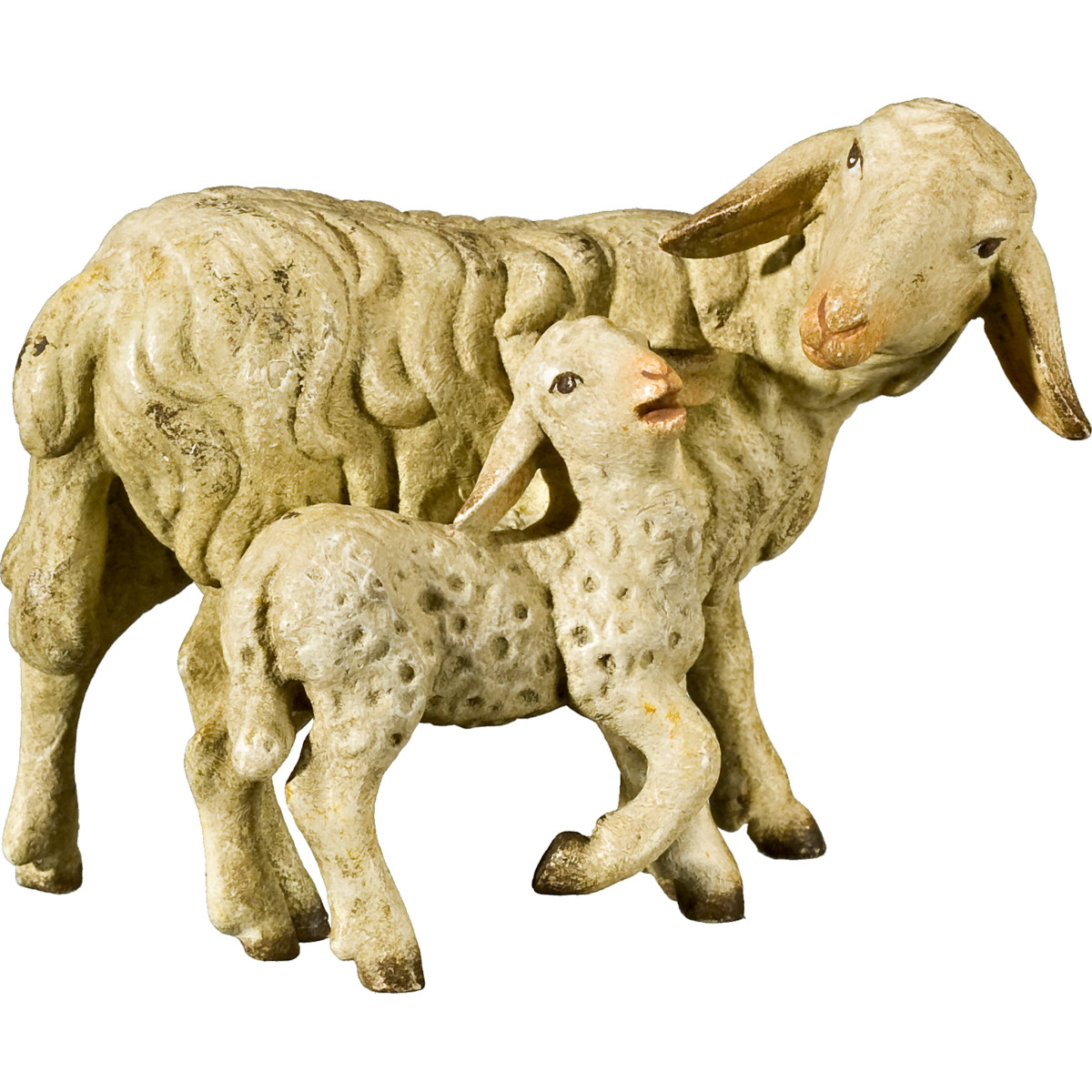 Pecora con agnello