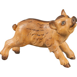 Cucciolo di cinghiale