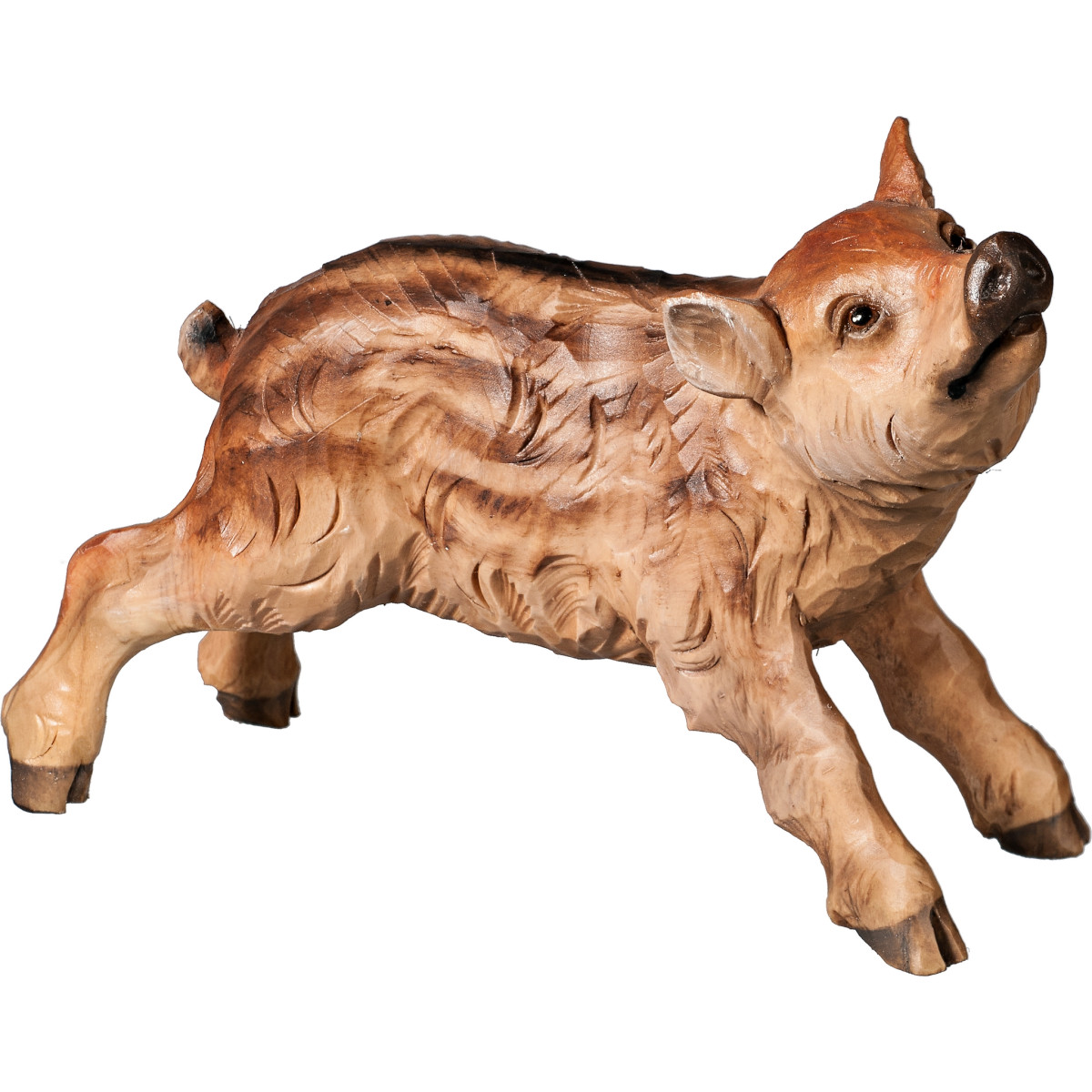 Wildschwein Frischling