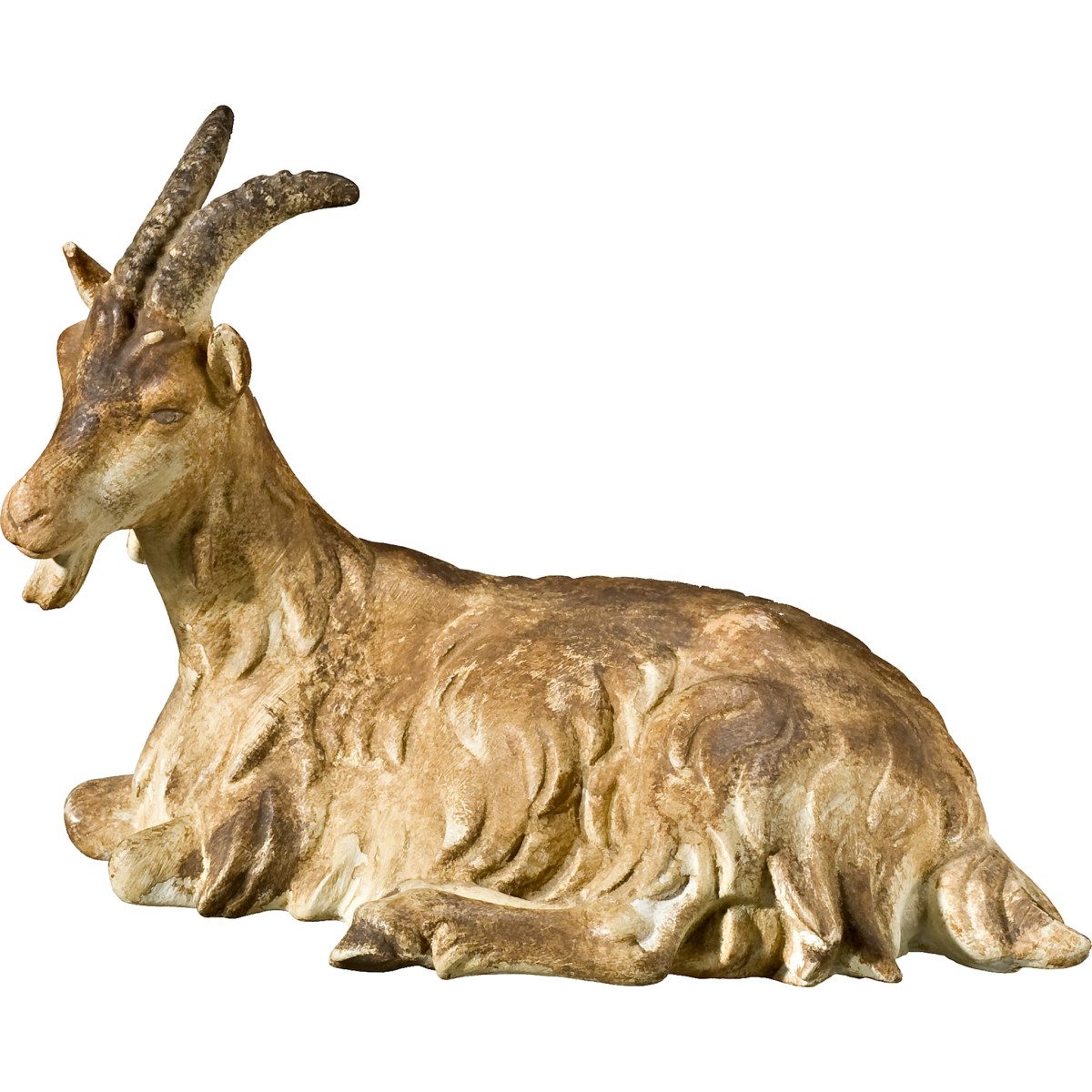 Cabra acostada