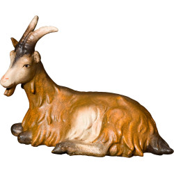 Capra sdraiata