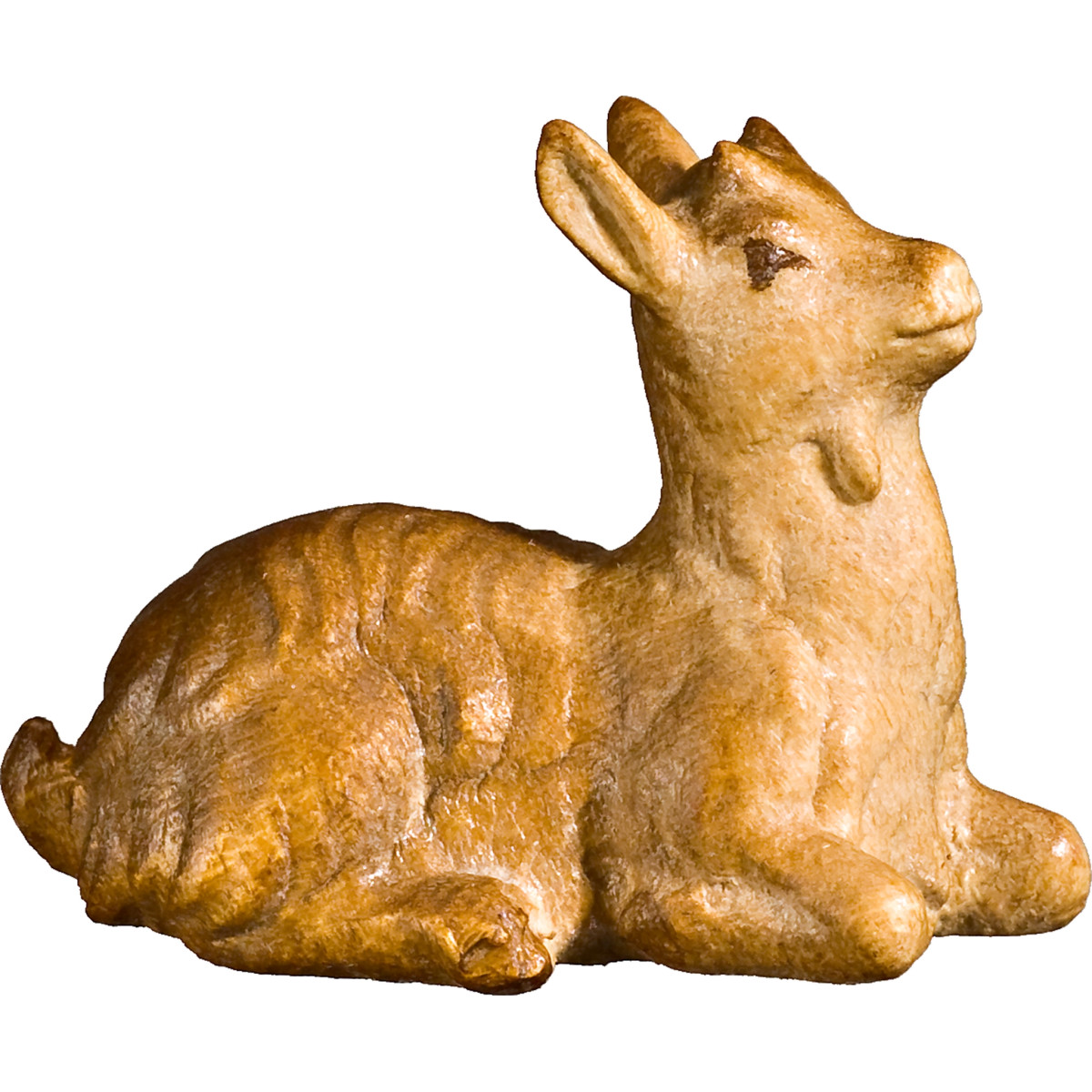 Cabrito agachado